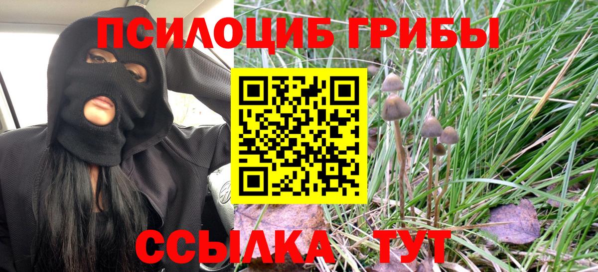 Галлюциногенные грибы мухоморы  Вход с VPN  Кызыл  Псилоцибиновые грибы Cubensis 