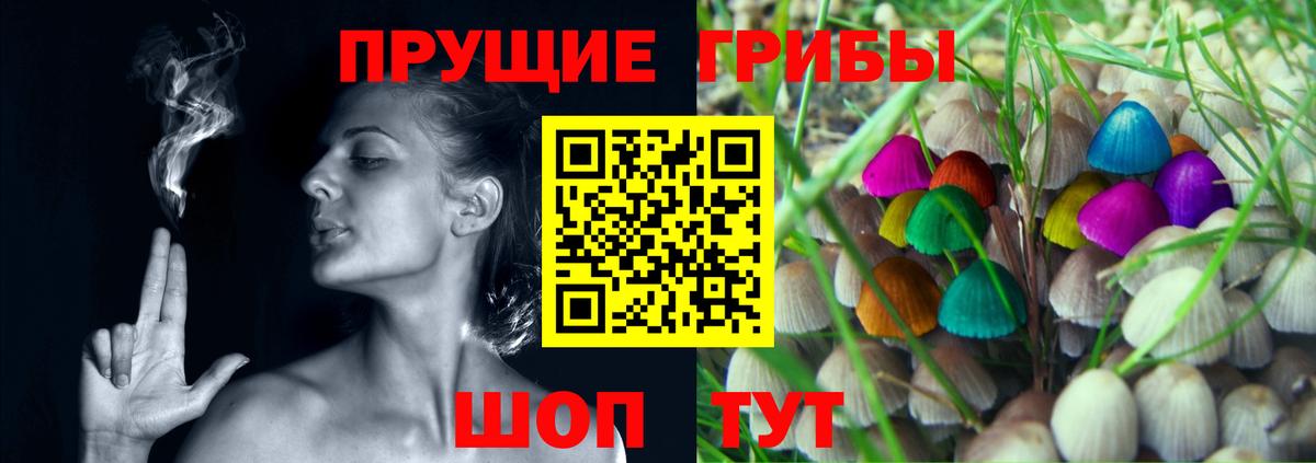 ГАШ Кызыл